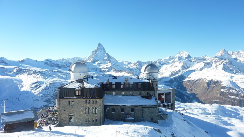 Adonis Zermatt